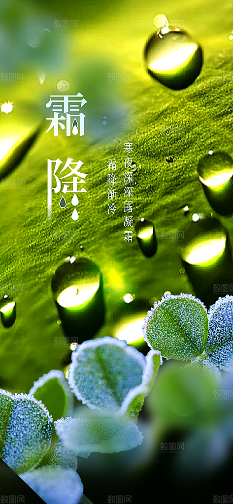 节气霜降宣传海报