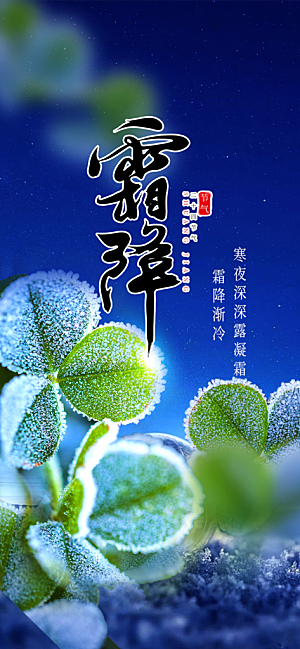 节气霜降宣传海报