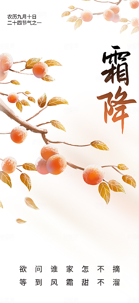传统节气霜降宣传海报
