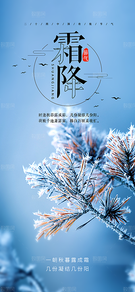 霜降宣传活动海报