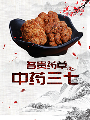 中药养生海报宣传设计
