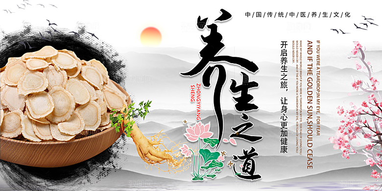 中药养生海报宣传设计