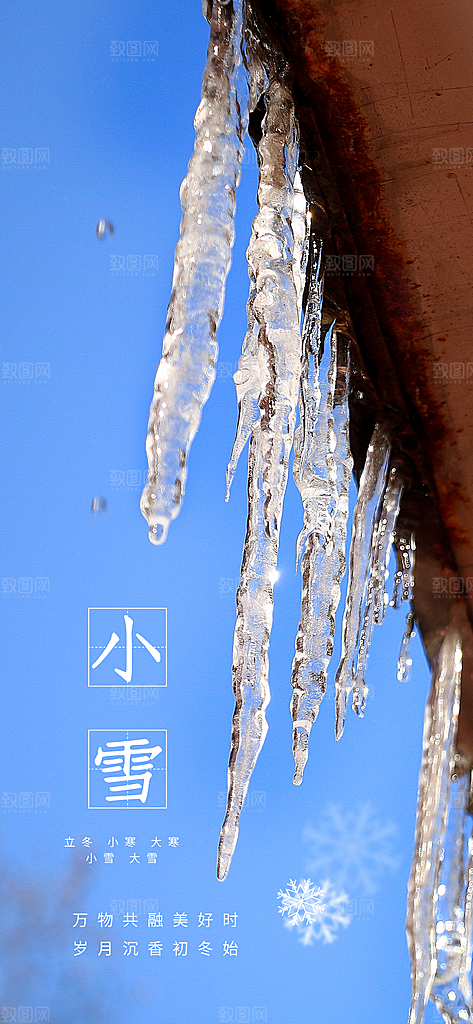 简约创意中国传统二十四节气小雪宣传海报
