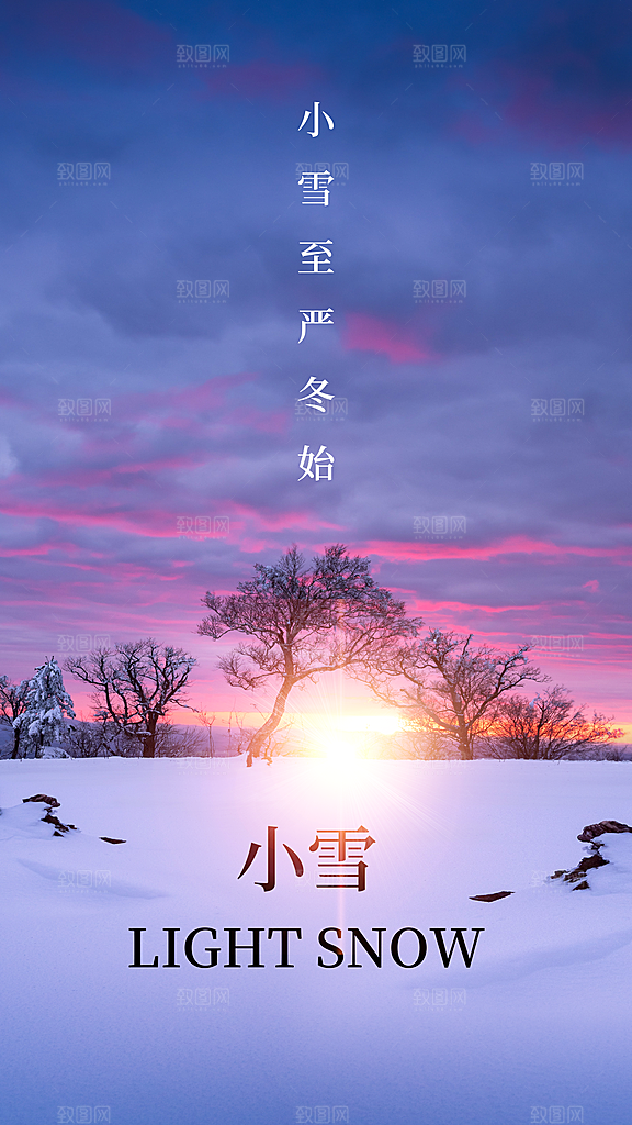简约创意中国传统二十四节气小雪宣传海报