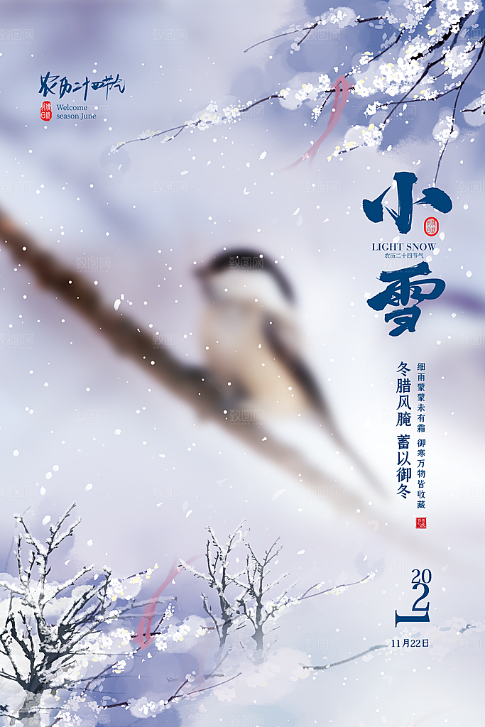 简约创意中国传统二十四节气小雪宣传海报