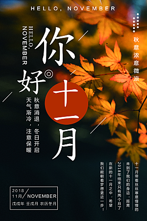 大气十一月你好宣传海报