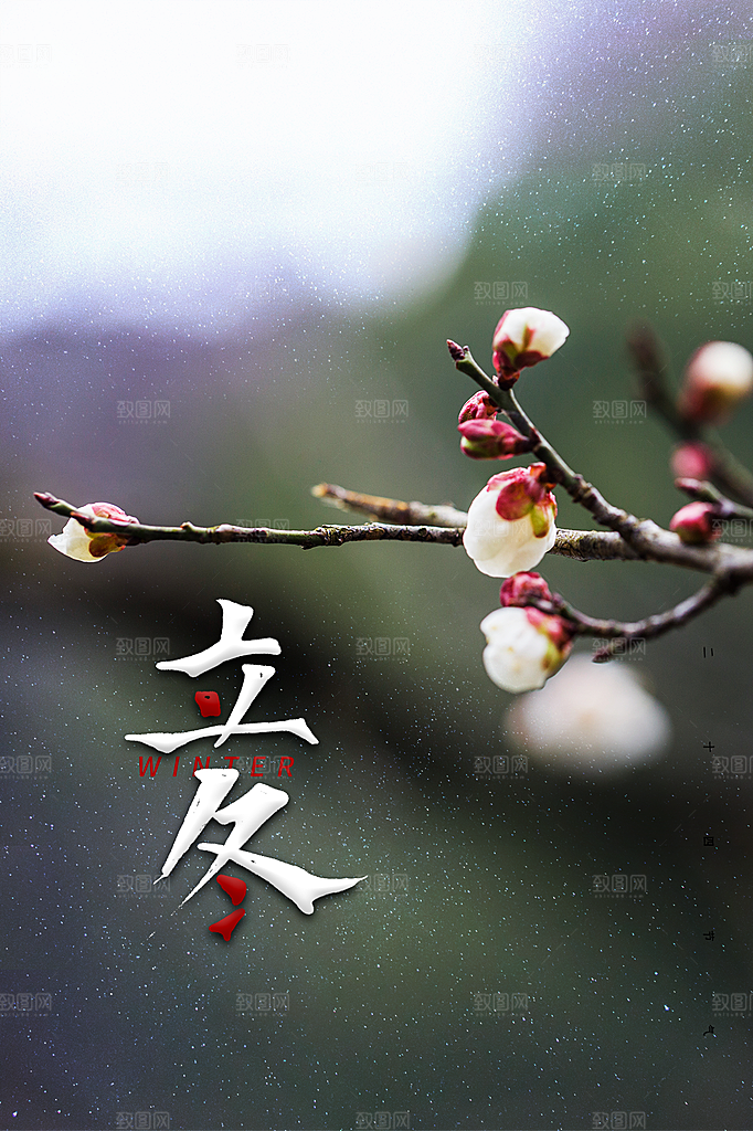 立冬节气简约大气海报
