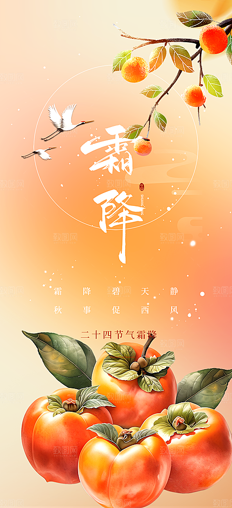节气霜降宣传活动海报