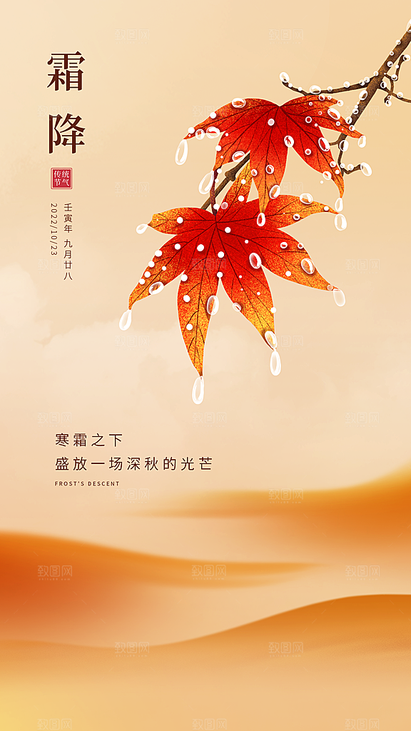 霜降插画节气大气唯美简约海报