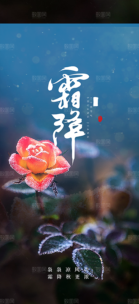 二十四节气霜降宣传活动海报