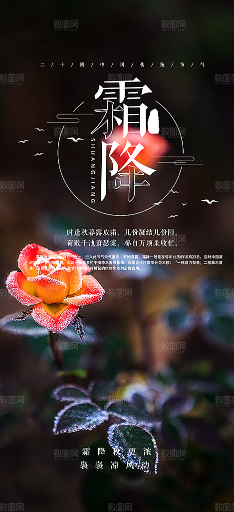 二十四节气霜降宣传活动海报