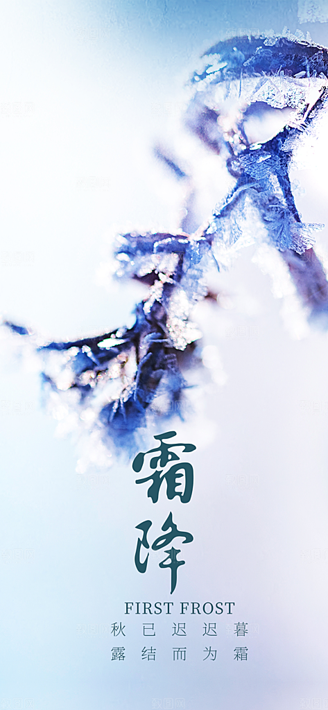 二十四节气霜降宣传活动海报