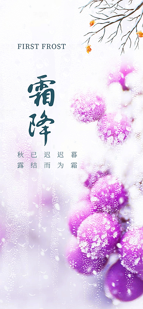 二十四节气霜降宣传活动海报