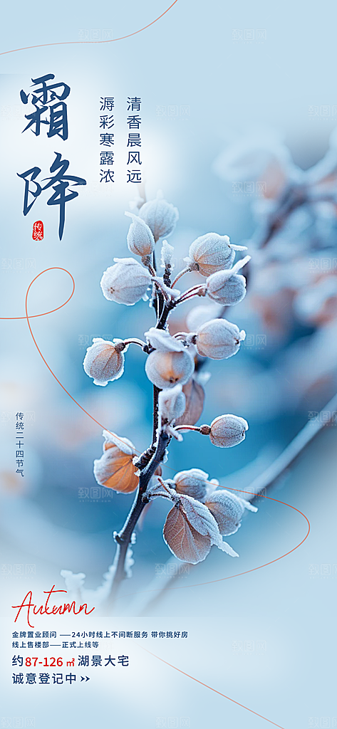 节气霜降宣传海报