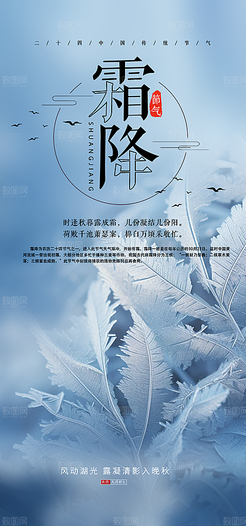 传统节气霜降宣传海报