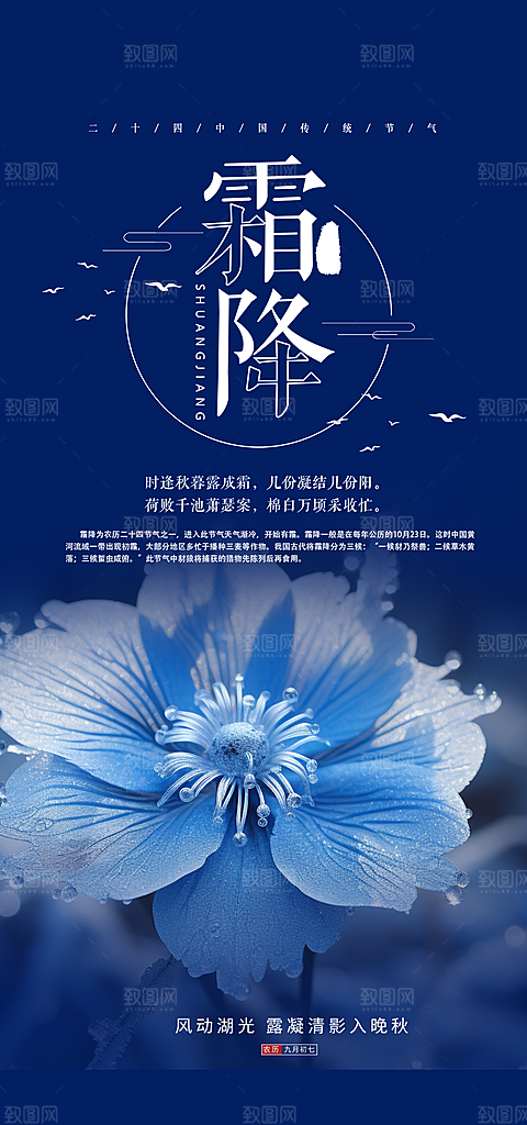 传统节气霜降宣传海报