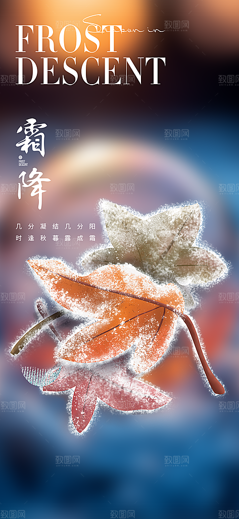 传统二十四节气霜降宣传海报
