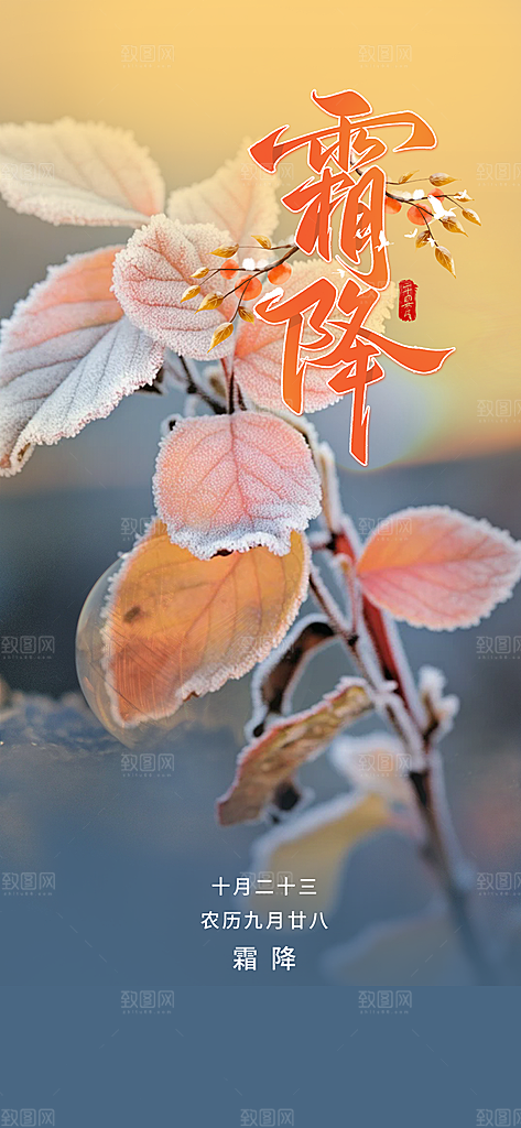 二十四节气霜降宣传海报