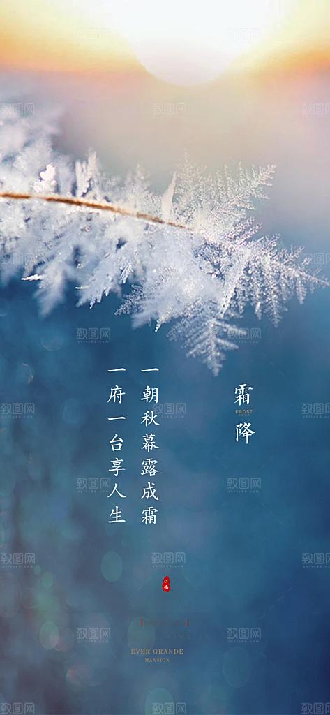二十四节气霜降宣传海报