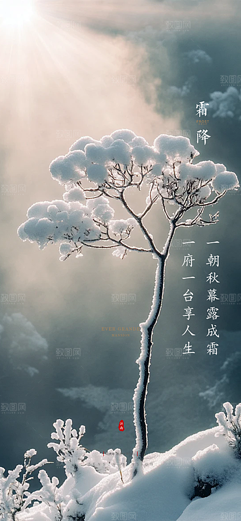 二十四节气霜降宣传海报