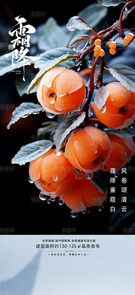 二十四节气霜降宣传海报