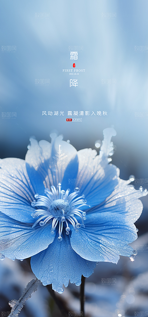 传统二十四节气霜降宣传海报
