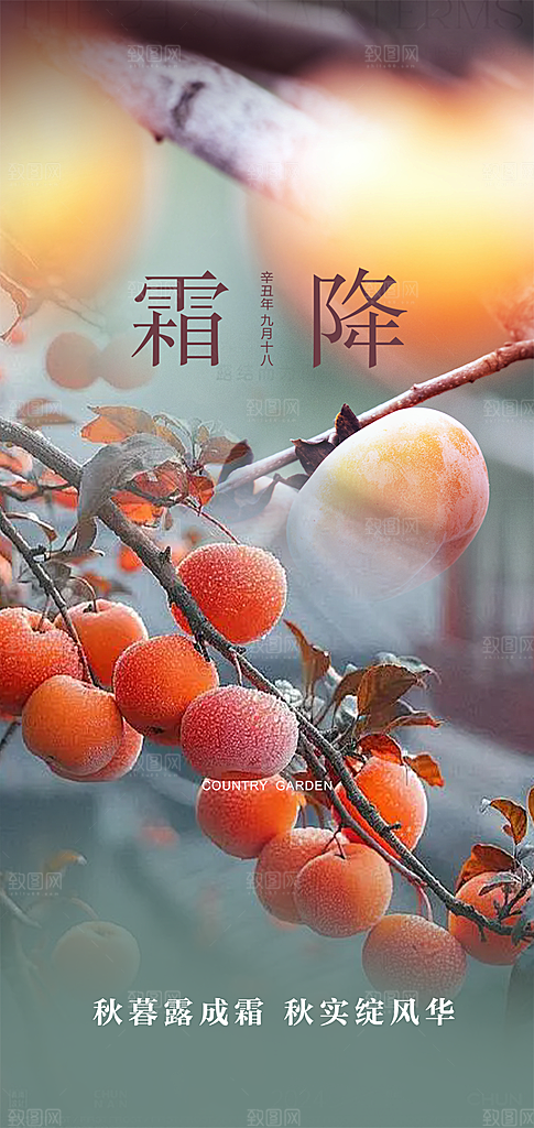 传统二十四节气霜降宣传海报