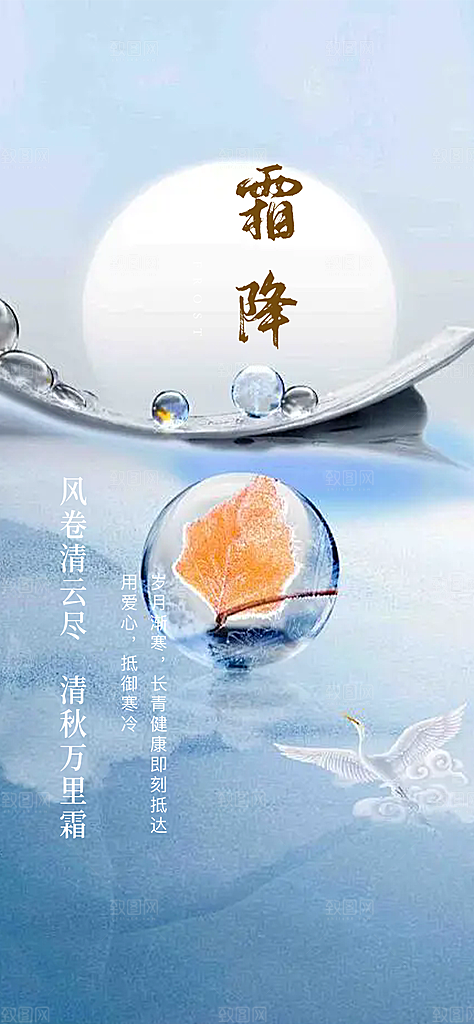 传统节气霜降宣传海报