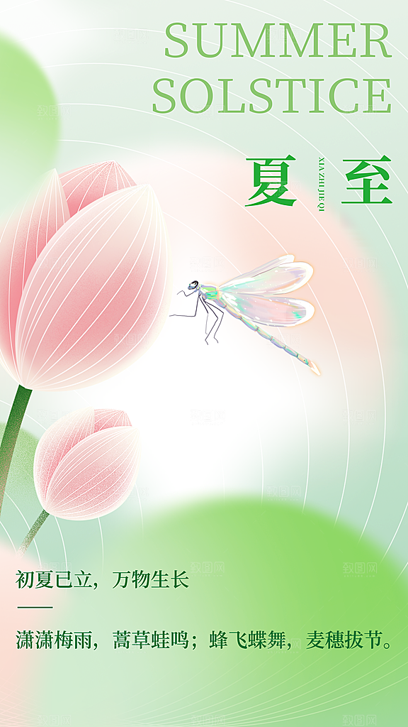时尚夏至节气宣传海报