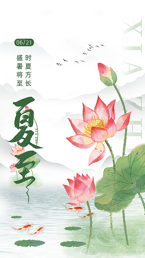 时尚夏至节气宣传海报