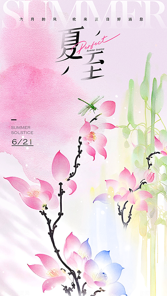 清新夏至节气宣传海报