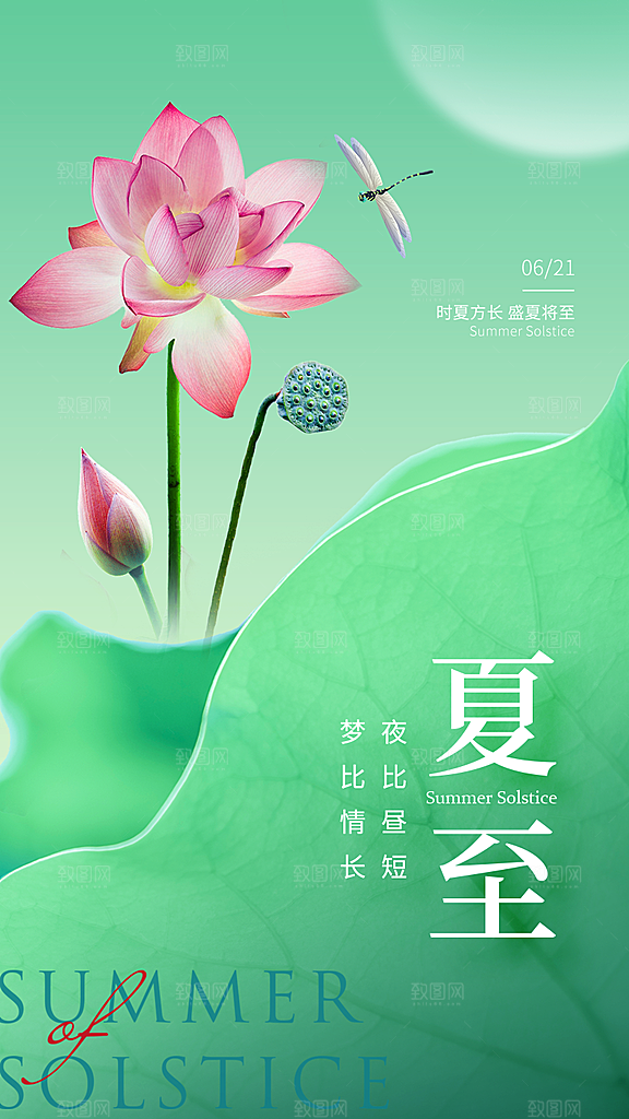 清新夏至节气宣传海报