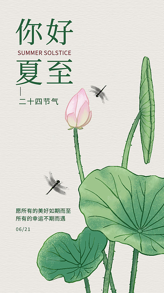 清新夏至节气宣传海报