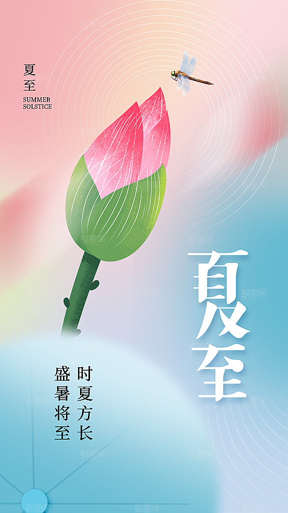大气夏至节气宣传海报