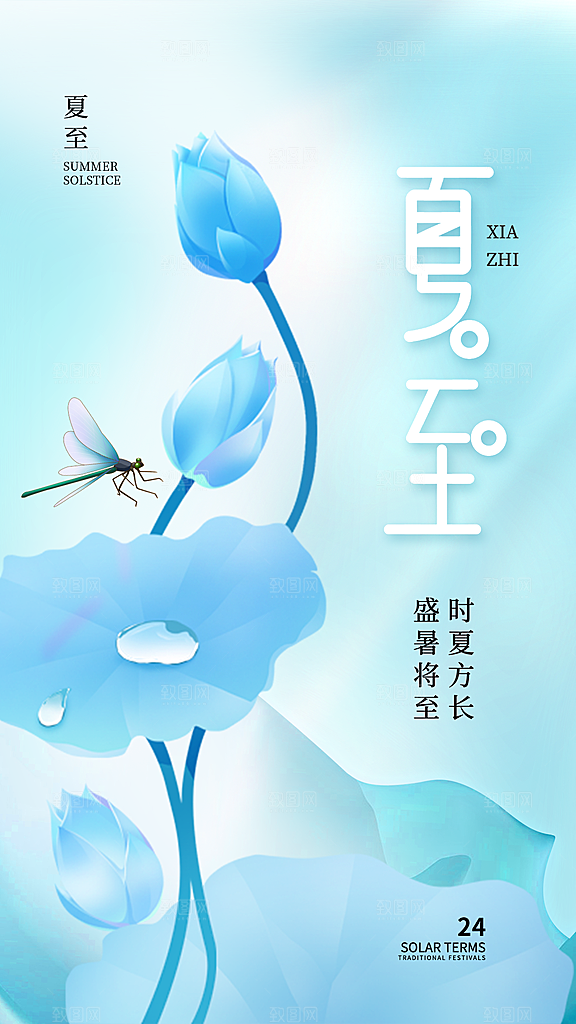 大气夏至节气宣传海报