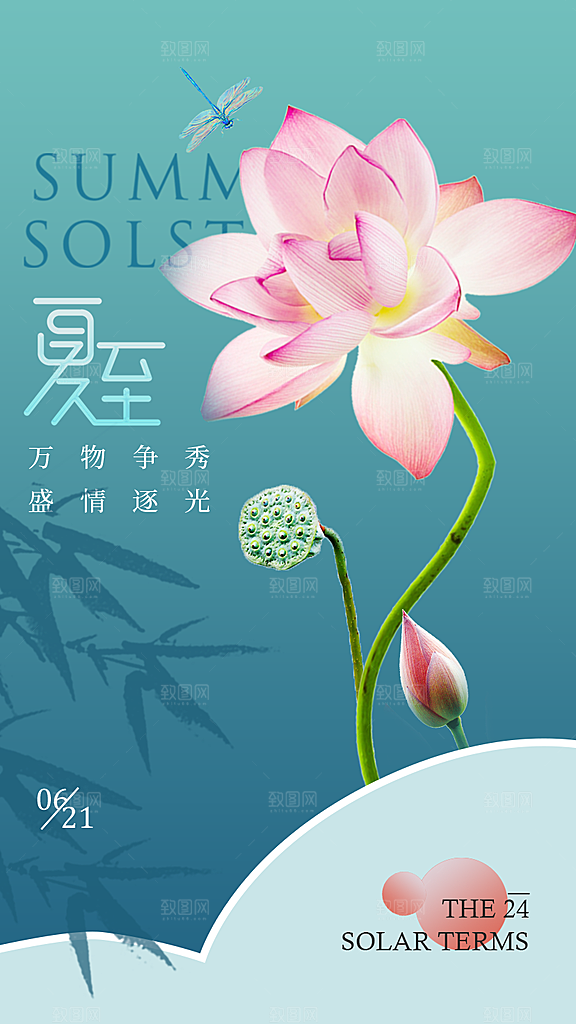 大气夏至节气宣传海报