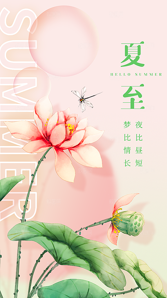 大气夏至节气宣传海报