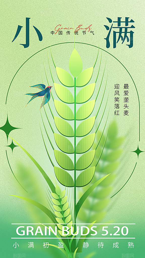 质感小满节气宣传海报