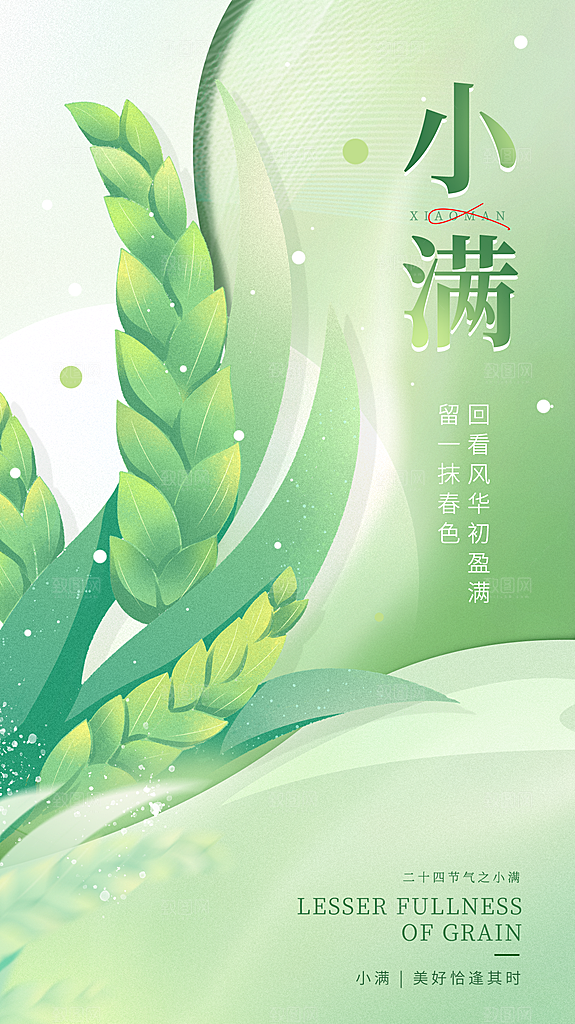 质感小满节气宣传海报