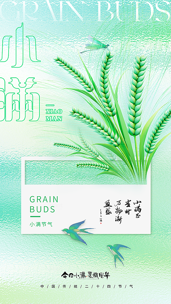 质感小满节气宣传海报