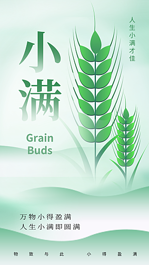 质感小满节气宣传海报