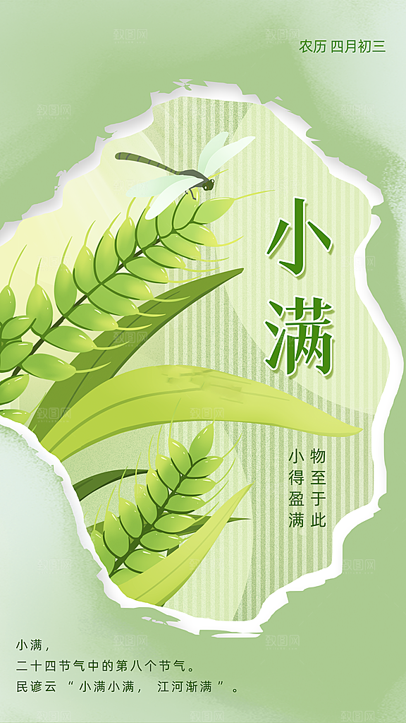 质感小满节气宣传海报
