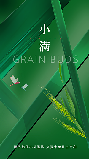 质感小满节气宣传海报