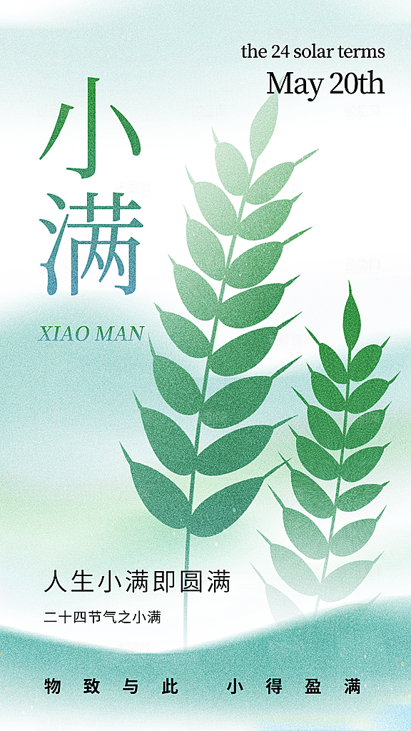 时尚小满节气宣传海报