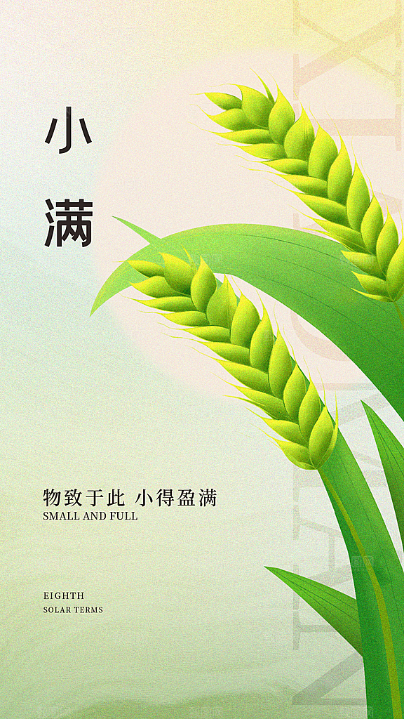 清新小满节气宣传海报