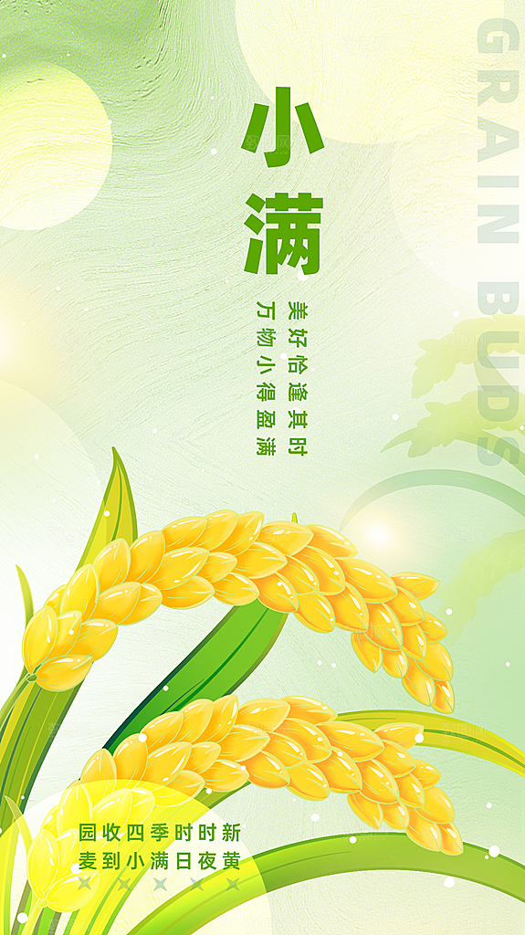 清新小满节气宣传海报