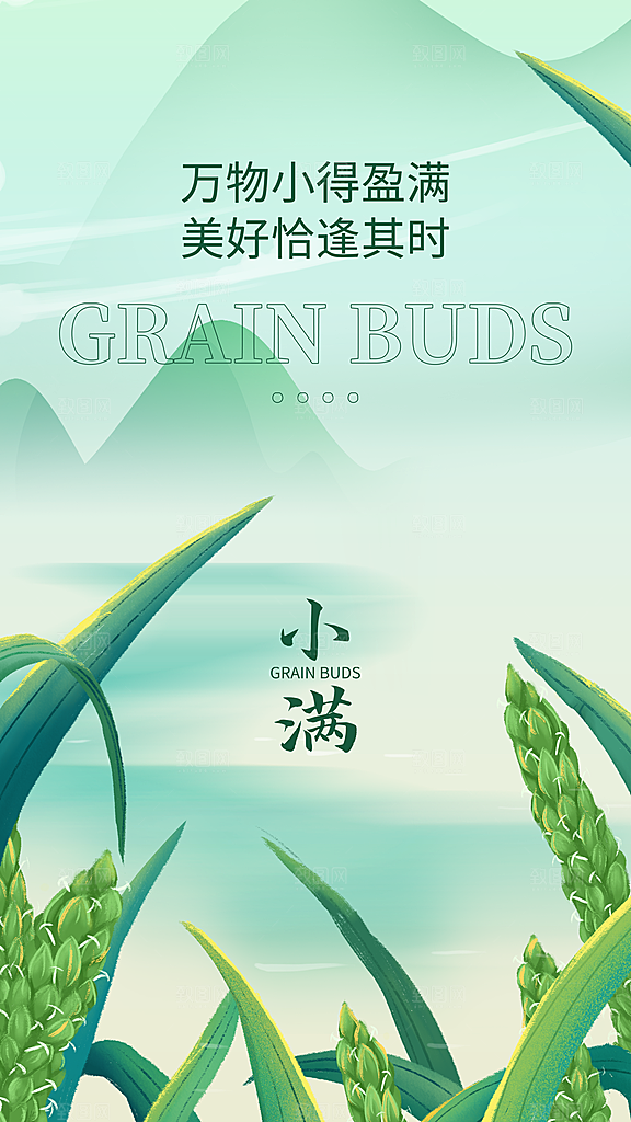 小满节气宣传海报