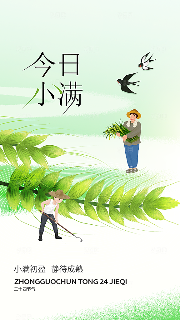 小满节气宣传海报