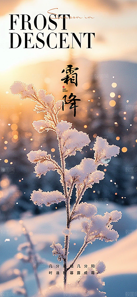 二十四节气霜降宣传活动海报