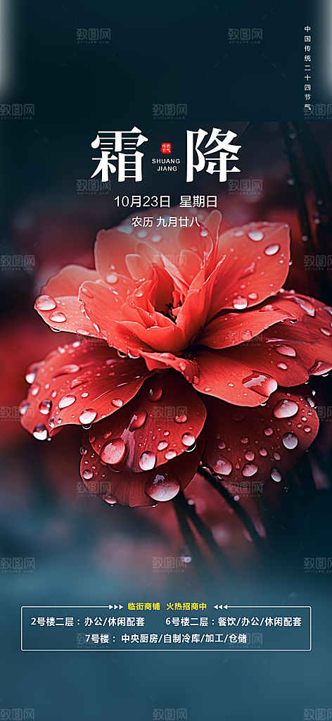 霜降宣传活动海报